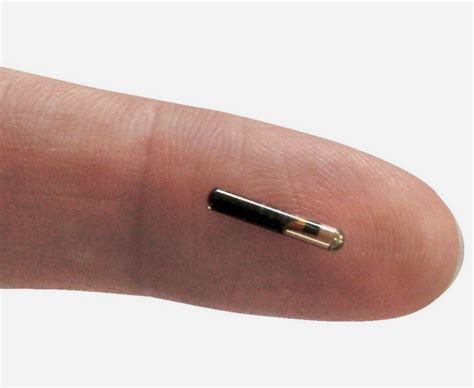 the human rfid chip png|Human Microchipping: An Unbiased Look at the Pros and Cons.